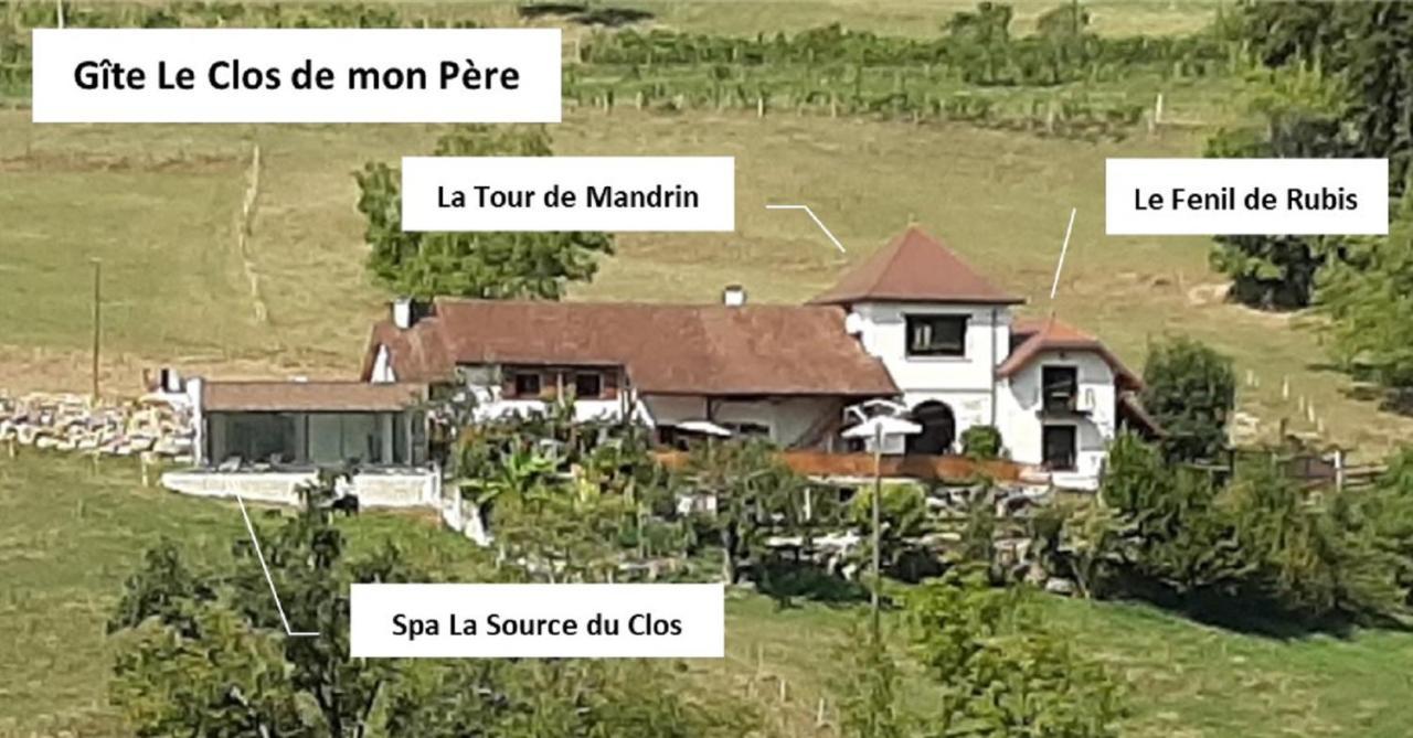 Gite & Spa Le Clos De Mon Pere Rochefort  Kültér fotó