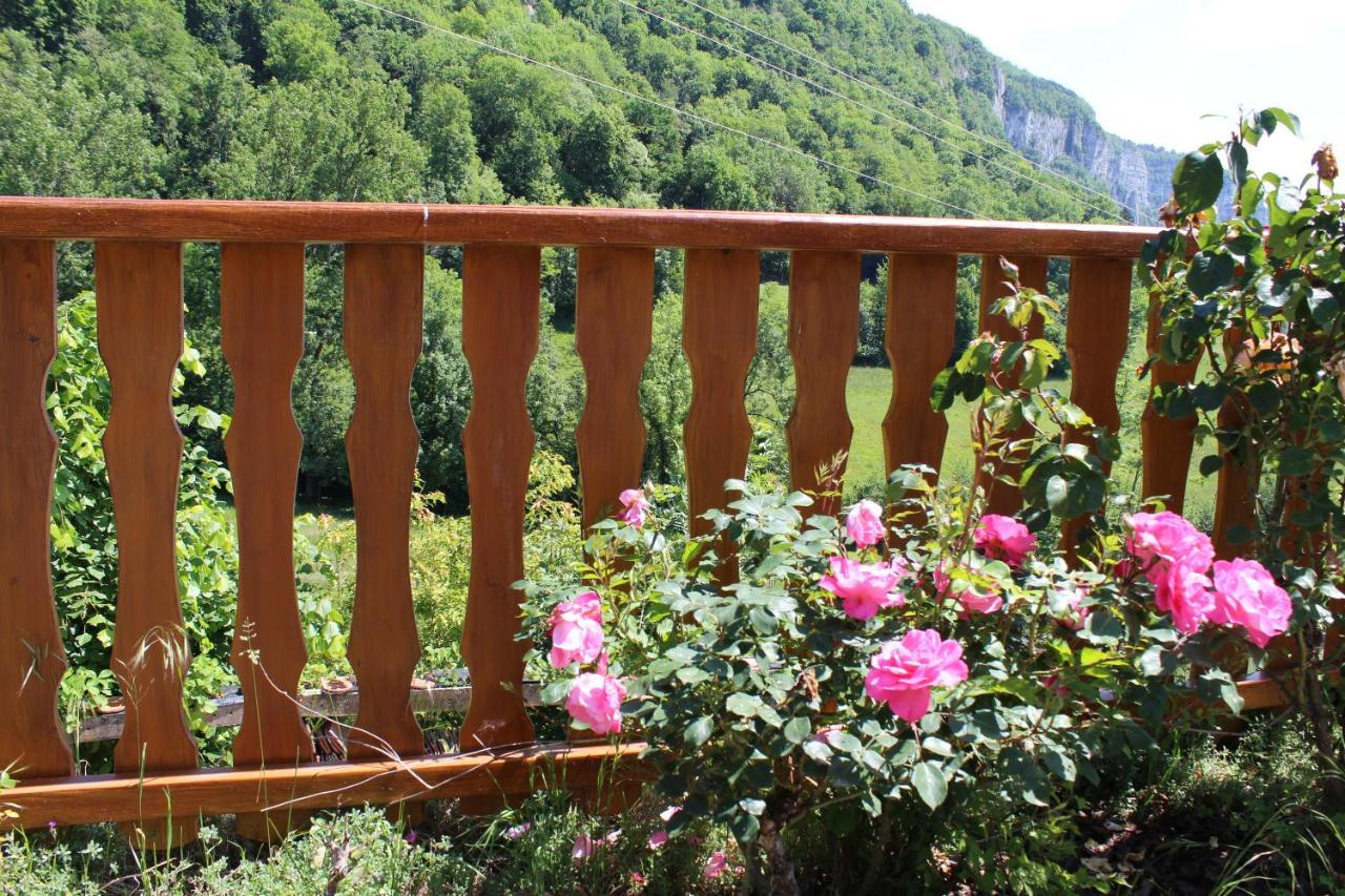 Gite & Spa Le Clos De Mon Pere Rochefort  Kültér fotó